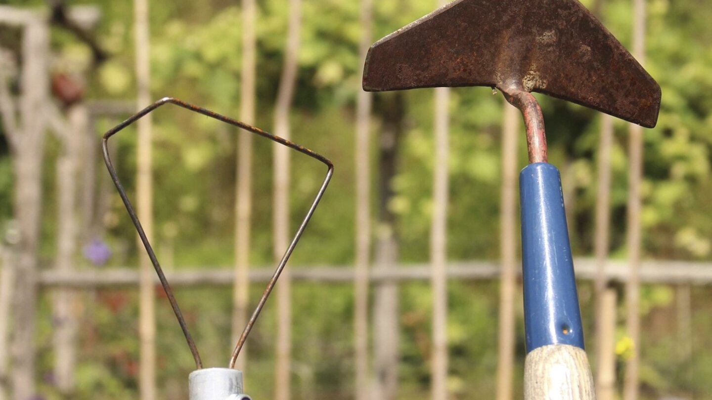 Winged shop weeder hoe